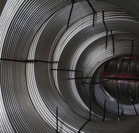 ভালো দাম ASTM A269 / A249 স্টেইনলেস স্টীল কুণ্ডলী নল অনলাইন