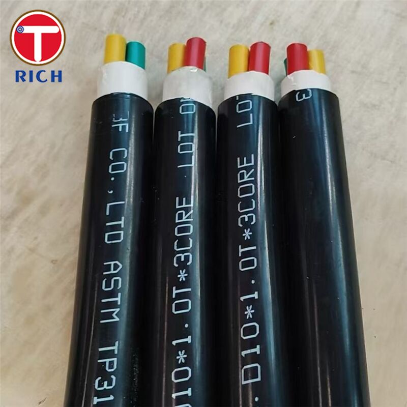 জাহাজ নির্মাণে ব্যবহৃত মাল্টি-কোর স্টেইনলেস স্টিল সিমলেস টিউব (প্লাস্টিক কোটিং সহ) ৩০৪এল/৩১৬এল/ডুপ্লেক্স ২২.০৫ গ্রেডে এবং কোল্ড ড্রন/হট রোলড কৌশলে